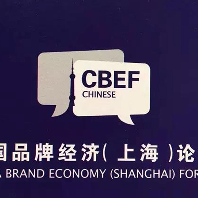 木馬設(shè)計(jì)創(chuàng)始人丁偉受邀參加第二屆中國(guó)品牌經(jīng)濟(jì)（上海）論壇