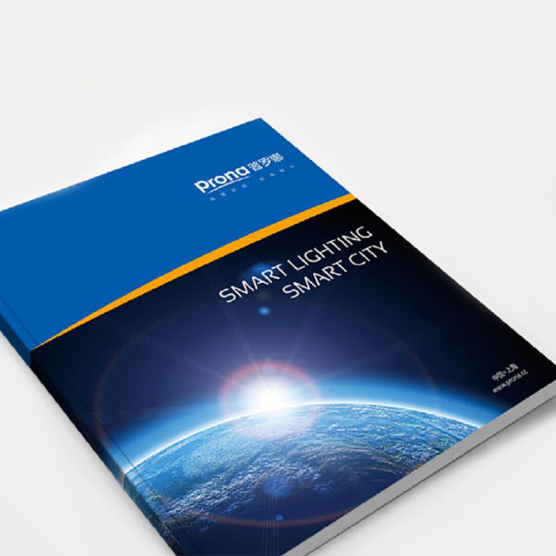 普羅娜營銷策劃畫冊設(shè)計