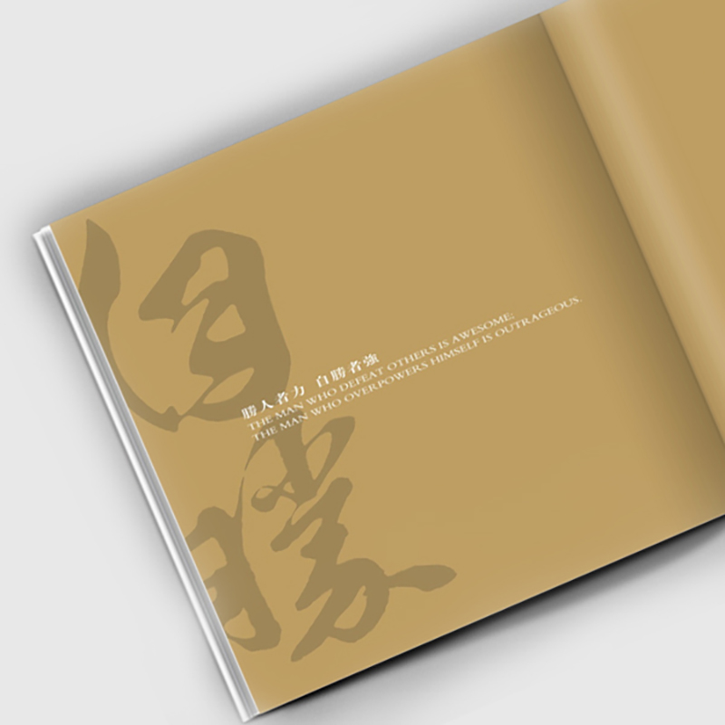 國泰華集團(tuán)營銷策劃